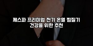 제스파 프리미엄 전기 온열 찜질기 건강을 위한 추천 [요약]