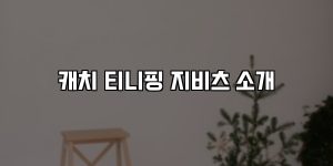 캐치 티니핑 지비츠 소개 [요약]