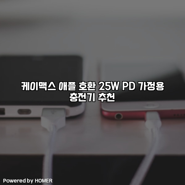 케이맥스 애플 호환 25W PD 가정용 충전기 추천 [요약]