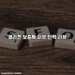 콜라겐 보충제 피부 탄력 리뷰 [요약]