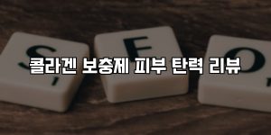 콜라겐 보충제 피부 탄력 리뷰 [요약]
