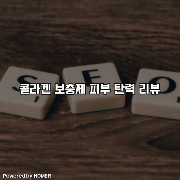 콜라겐 보충제 피부 탄력 리뷰 [요약]