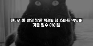 판다지아 발열 방한 목걸이형 스마트 넥워머 겨울 필수 아이템 [요약]