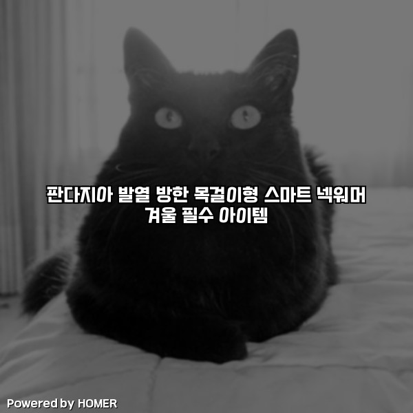 판다지아 발열 방한 목걸이형 스마트 넥워머 겨울 필수 아이템 [요약]