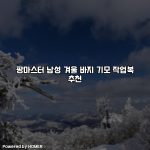 팡마스터 남성 겨울 바지 기모 작업복 추천 [요약]