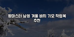 팡마스터 남성 겨울 바지 기모 작업복 추천 [요약]