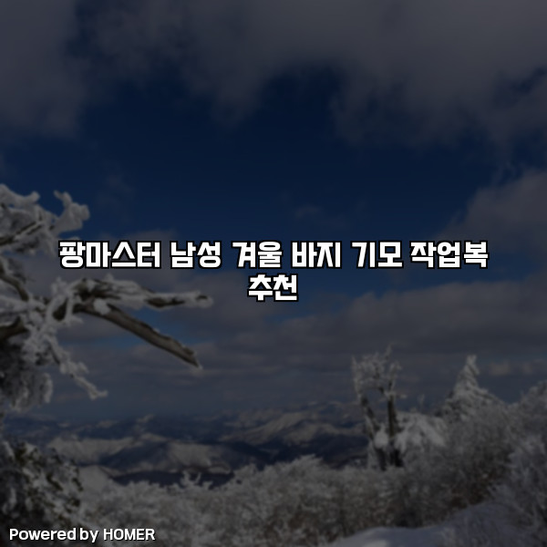 팡마스터 남성 겨울 바지 기모 작업복 추천 [요약]