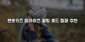팬콧키즈 팝아이즈 퀼팅 후드 점퍼 추천 [요약]