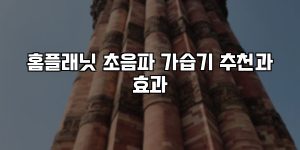 홈플래닛 초음파 가습기 추천과 효과 [요약]