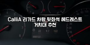 CalliA 리가드 차량 뒷좌석 헤드레스트 거치대 추천 [요약]