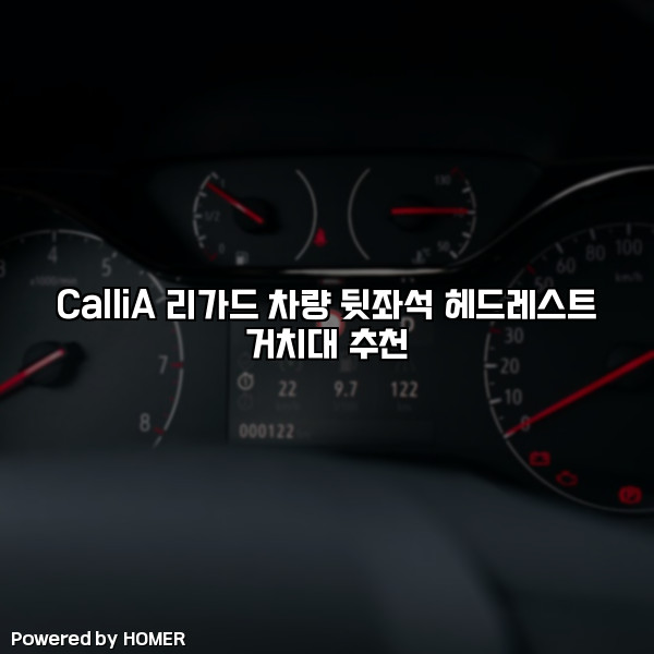 CalliA 리가드 차량 뒷좌석 헤드레스트 거치대 추천 [요약]