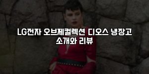 LG전자 오브제컬렉션 디오스 냉장고 소개와 리뷰 [요약]