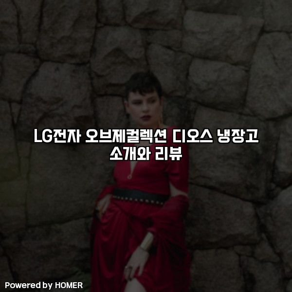 LG전자 오브제컬렉션 디오스 냉장고 소개와 리뷰 [요약]