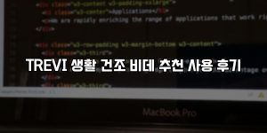 TREVI 생활 건조 비데 추천 사용 후기 [요약]