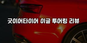 굿이어타이어 이글 투어링 리뷰 [요약]