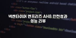 넥센타이어 엔프리즈 AH8 안전성과 성능 리뷰 [요약]