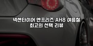 넥센타이어 엔프리즈 AH8 여름철 최고의 선택 리뷰 [요약]