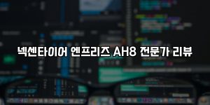 넥센타이어 엔프리즈 AH8 전문가 리뷰 [요약]