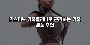 러스티노 가죽클리너로 관리하는 가죽 제품 추천 [요약]