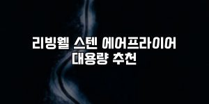 리빙웰 스텐 에어프라이어 대용량 추천 [요약]