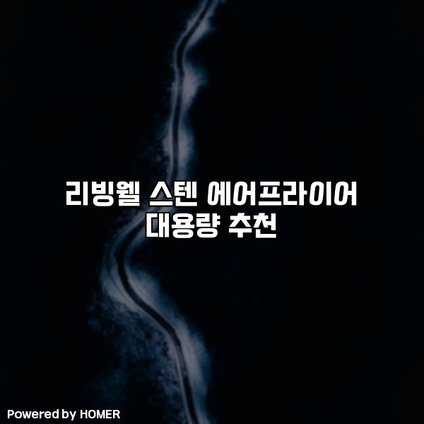 리빙웰 스텐 에어프라이어 대용량 추천 [요약]