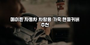 메이튼 자동차 차량용 가죽 핸들커버 추천 [요약]
