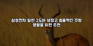 삼성전자 일반 2도어 냉장고 효율적인 주방 생활을 위한 추천 [요약]