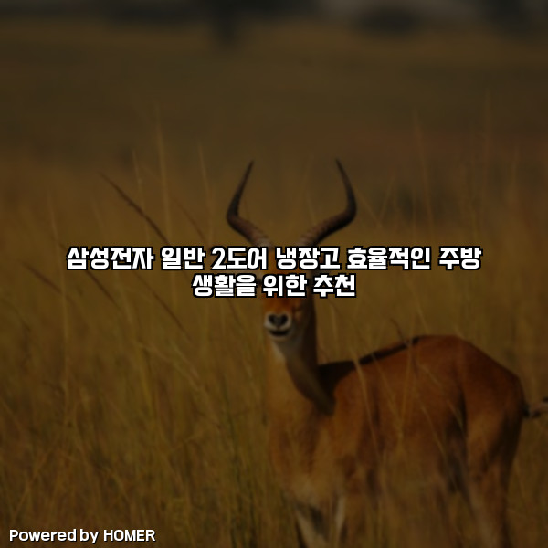삼성전자 일반 2도어 냉장고 효율적인 주방 생활을 위한 추천 [요약]