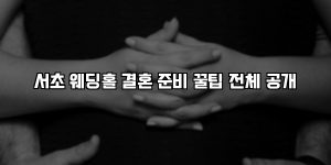 서초 웨딩홀 결혼 준비 꿀팁 전체 공개 [요약]