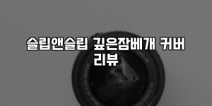 슬립앤슬립 깊은잠베개 커버 리뷰 [요약]