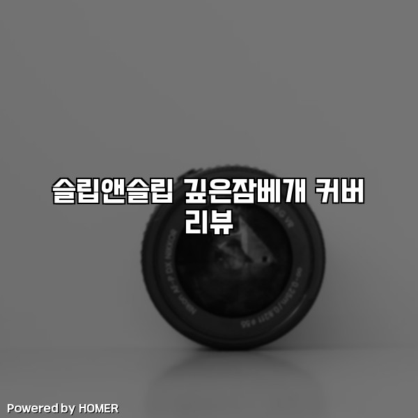 슬립앤슬립 깊은잠베개 커버 리뷰 [요약]