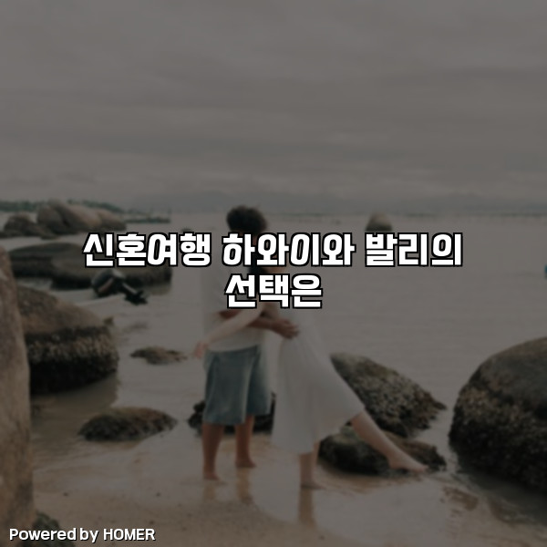 신혼여행 하와이와 발리의 선택은 [요약]