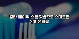 왕타 베이직 스톤 칫솔으로 스마트한 양치생활을 [요약]