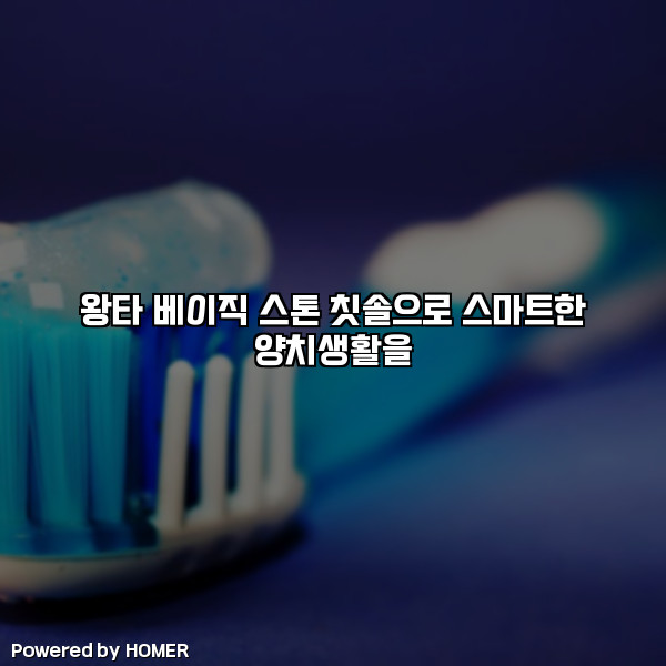 왕타 베이직 스톤 칫솔으로 스마트한 양치생활을 [요약]