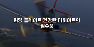 저당 플레이트 건강한 다이어트의 필수품 [요약]