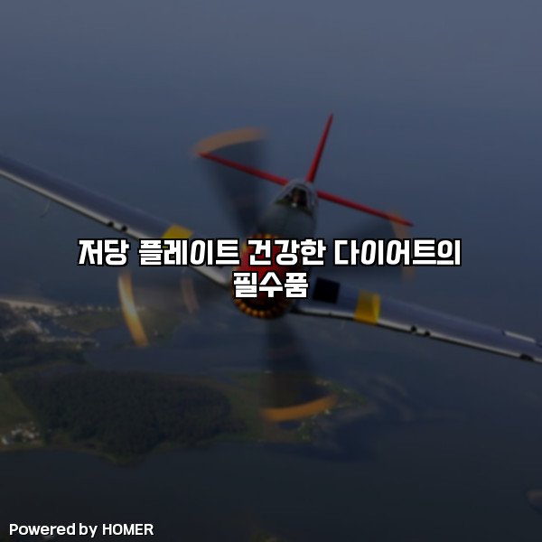 저당 플레이트 건강한 다이어트의 필수품 [요약]