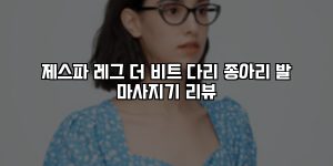 제스파 레그 더 비트 다리 종아리 발 마사지기 리뷰 [요약]