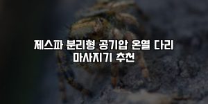 제스파 분리형 공기압 온열 다리 마사지기 추천 [요약]