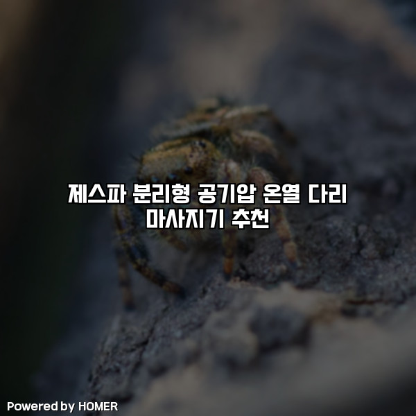 제스파 분리형 공기압 온열 다리 마사지기 추천 [요약]