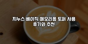 지누스 베이직 메모리폼 토퍼 사용 후기와 추천 [요약]