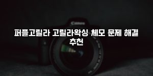 퍼플고릴라 고릴라왁싱 체모 문제 해결 추천 [요약]