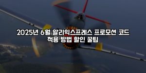 2025년 6월 알리익스프레스 프로모션 코드 적용 방법 할인 꿀팁 [요약]