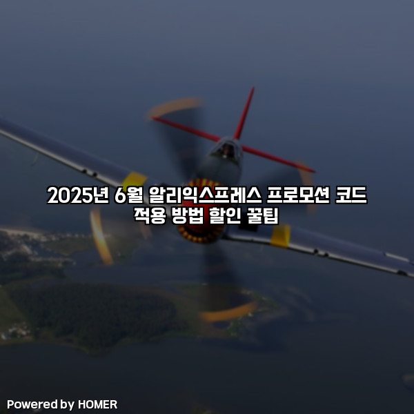 2025년 6월 알리익스프레스 프로모션 코드 적용 방법 할인 꿀팁 [요약]