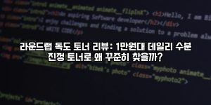 라운드랩 독도 토너 리뷰: 1만원대 데일리 수분 진정 토너로 왜 꾸준히 찾을까? [요약]