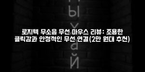 로지텍 무소음 무선 마우스 리뷰: 조용한 클릭감과 안정적인 무선 연결(2만 원대 추천) [요약]