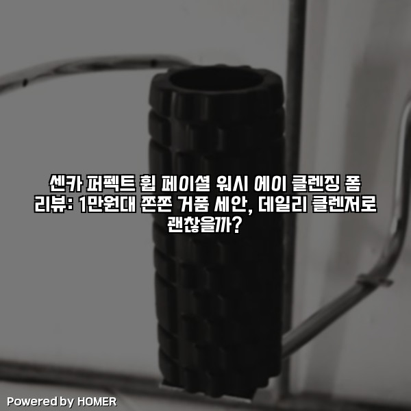 센카 퍼펙트 휩 페이셜 워시 에이 클렌징 폼 리뷰: 1만원대 쫀쫀 거품 세안, 데일리 클렌저로 괜찮을까? [요약]