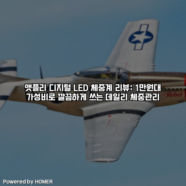 앳플리 디지털 LED 체중계 리뷰: 1만원대 가성비로 깔끔하게 쓰는 데일리 체중관리 [요약]