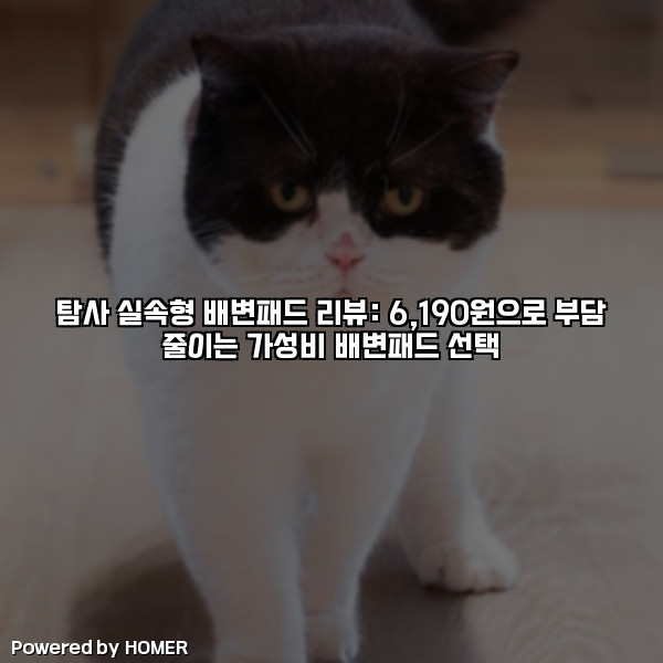 탐사 실속형 배변패드 리뷰: 6,190원으로 부담 줄이는 가성비 배변패드 선택 [요약]