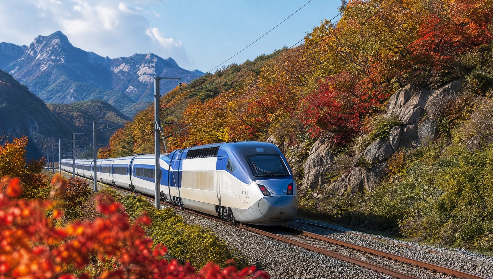 [2026 최신] KTX 추석 예매 일정 및 실패 없는 준비 방법 총정리